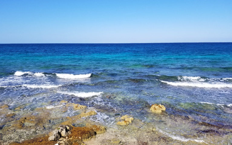 Ocean Water at an All Inclusive Resort :: I've Been Bit! A Travel Blog