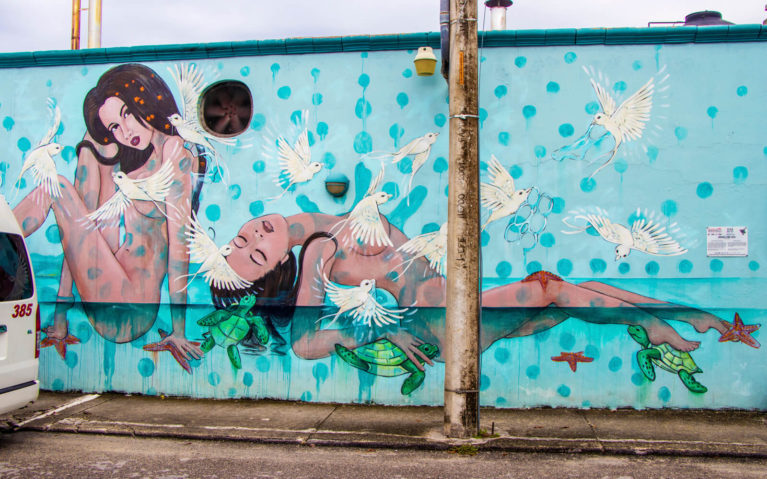Cozumel Street Art Mural by Amanda Lynn :: I've Been Bit! Travel Blog