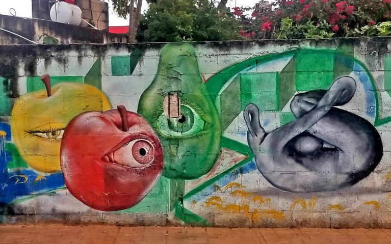 Fruit with Eyes Graffiti in Cozumel :: I've Been Bit! Travel Blog
