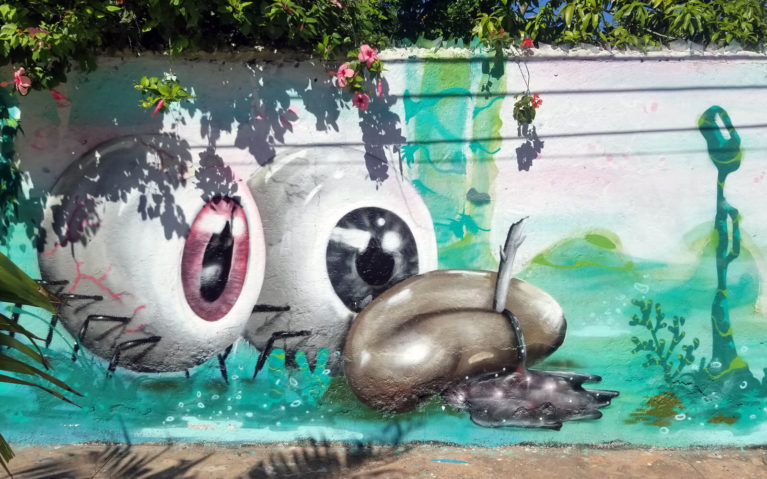 Eyeballs Watching You in Cozumel Mexico :: I've Been Bit! Travel Blog