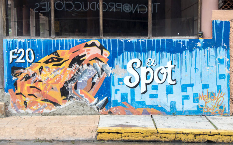 Melhor F20 Leopard Mural in Cozumel Mexico :: I've Been Bit! Travel Blog