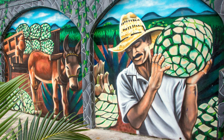 Mural Showing a Man Harvesting Tequila the Traditional Way with a Donkey :: I've Been Bit! Travel Blog