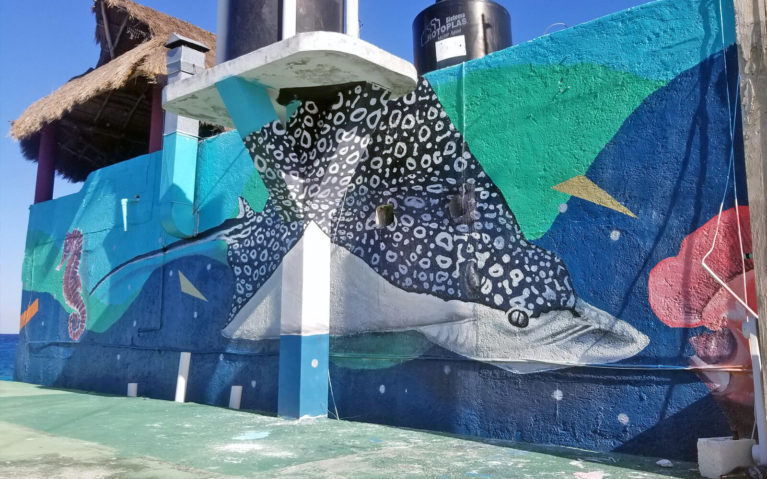 Manta Ray Mural in Cozumel Mexico :: I've Been Bit! Travel Blog