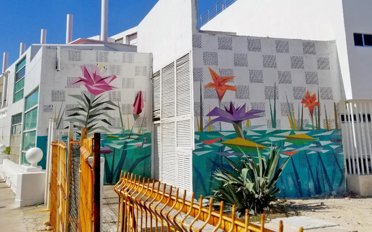 Flowers on the Wall by the Port in San Miguel de Cozumel :: I've Been Bit! Travel Blog