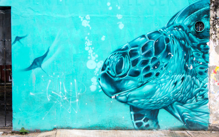 Sea Turtle Close Up Mural in Cozumel :: I've Been Bit! Travel Blog