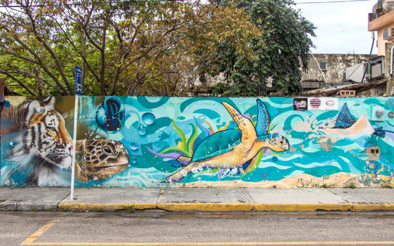 Tiger and Sea Turtle Mural :: I've Been Bit! Travel Blog