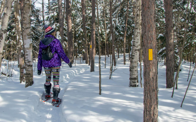 Lindsay Snowshoeing the Trails of Hiawatha Highlands in Sault Ste Marie :: I've Been Bit! Travel Blog