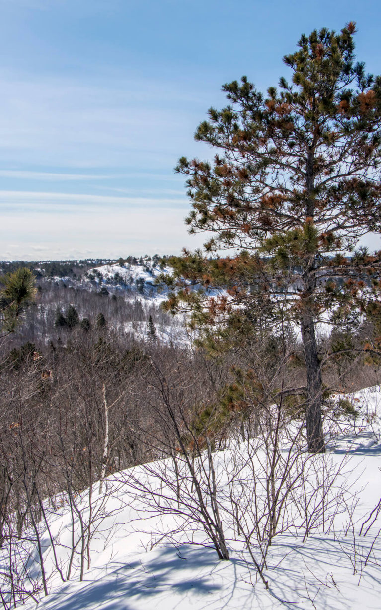 Another One of the Views from the Kivi Park Lookout in Northern Ontario :: I've Been Bit! Travel Blog