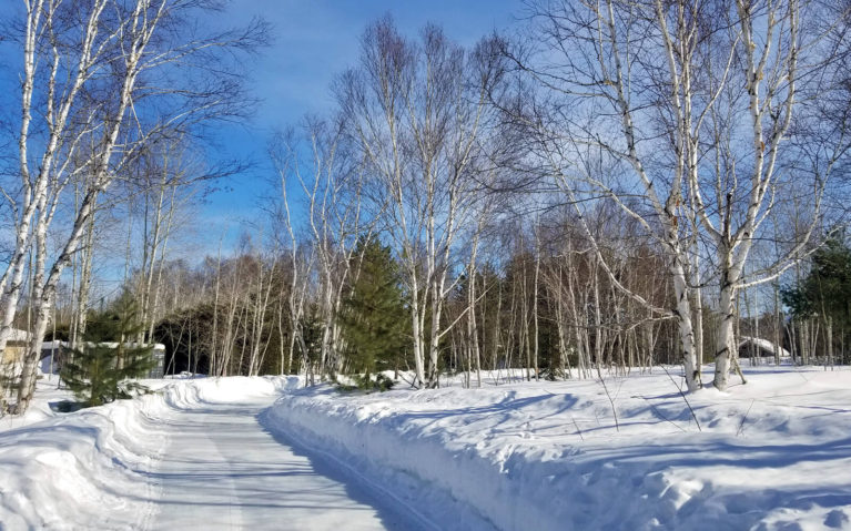 One of the Skating Trails in Sudbury - Kivi Park :: I've Been Bit! Travel Blog