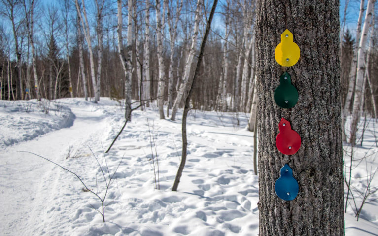 Yellow, Green, Red and Blue Trail Markings along a Snowshoe Trail in Sudbury's Kivi Park :: I've Been Bit! Travel Blog