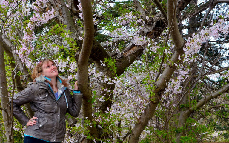 Lindsay Standing with a Cherry Tree Admiring the Blossoms :: I've Been Bit! Travel Blog