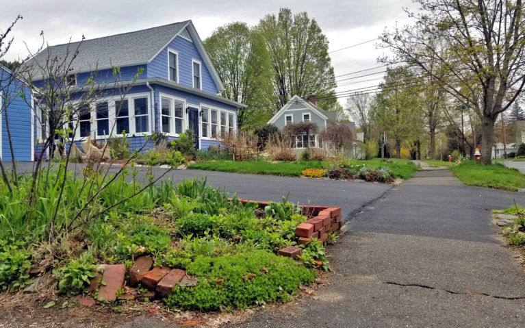 Florence, MA Neighbourhood with Blue House :: I've Been Bit! Travel Blog