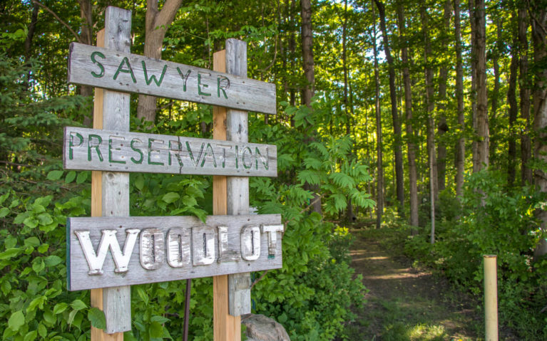 Wooden Sign Marking the Entrance to the Sawyer Preservation Woodlot in Perth County :: I've Been Bit! Travel Blog