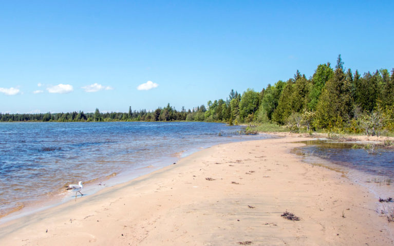 Beach View Along a Trail in Misery Bay Provincial Park :: I've Been Bit! Travel Blog