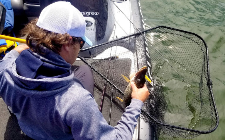 Adam Grabbing Fish Out of the Net That's Hanging Over the Edge of the Boat :: I've Been Bit! Travel Blog