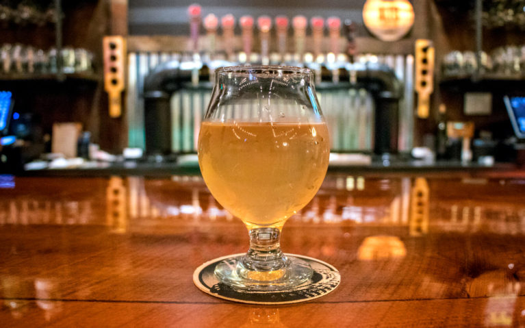 Pint of Beer on the Counter at Recon Brewing :: I've Been Bit! Travel Blog