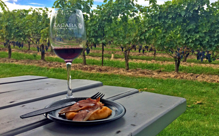Glass of Red Wine with Food on a Picnic Table in Front of the Vineyards at Kacaba in Vineland :: I've Been Bit! Travel Blog