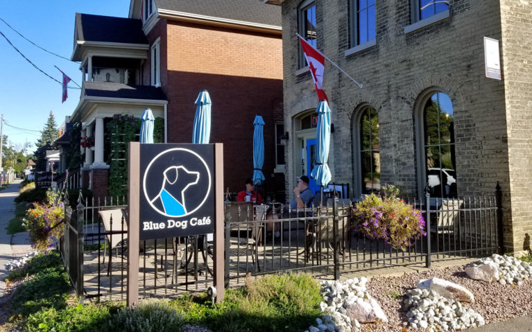 Outside of the Blue Dog Cafe in Brantford Ontario :: I've Been Bit! Travel Blog