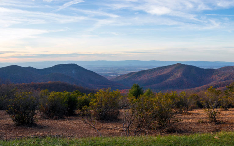 Golden Hour in Shenandoah National Park, A Must-Visit on a Virgina Road Trip :: I've Been Bit! Travel Blog