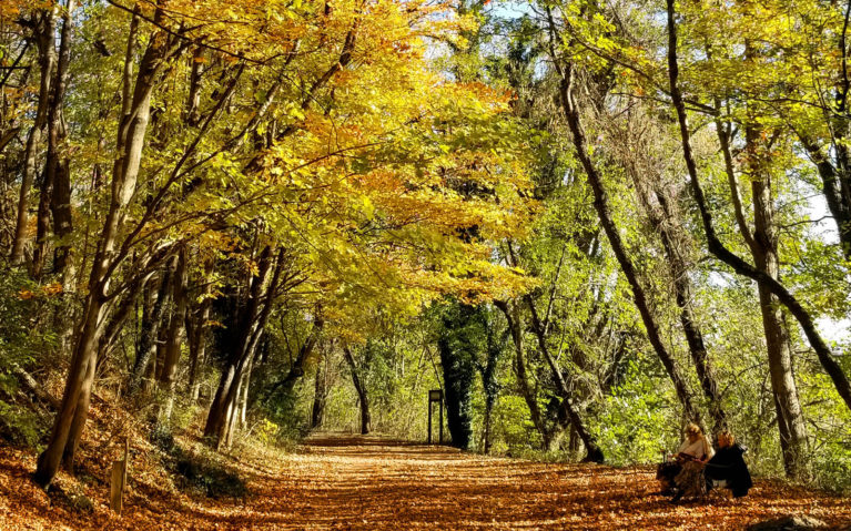 Views of the Virginia Creeper Trail in Autumn :: I've Been Bit! Travel Blog