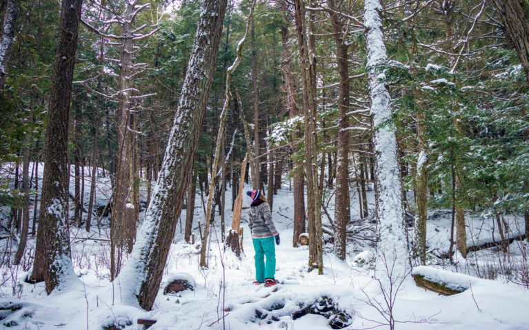 Lindsay Snowshoeing Along the Granite Ridge Trail in Killarney PP :: I've Been Bit! Travel Blog