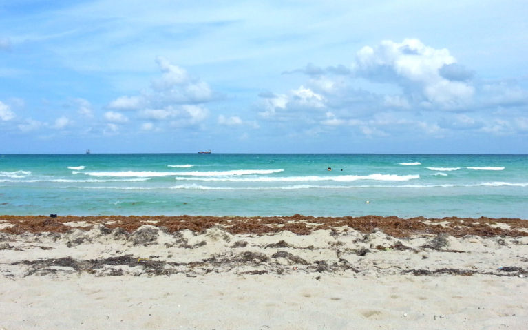 View of the Ocean Along South Beach Miami :: I've Been Bit! Travel Blog