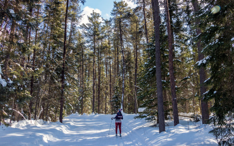Lindsay Cross Country Skiing Windy Lake Provincial Park :: I've Been Bit! Travel Blog