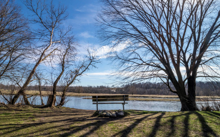 Bench and Trees Along the Bob McMullen Linear Trail Cambridge :: I've Been Bit! Travel Blog