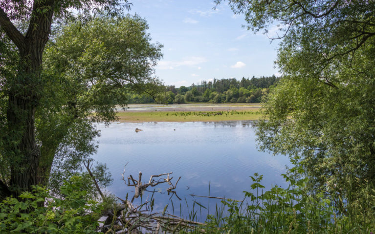 Views Across the Hespeler Mill Pond in Cambridge Ontario :: I've Been Bit! Travel Blog