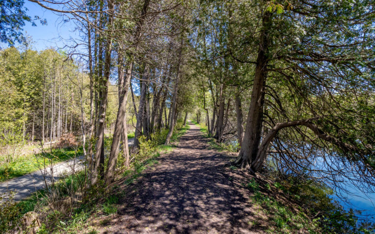 Between the Trees Along the Mill Run Hiking Trail in Cambridge :: I've Been Bit! Travel Blog