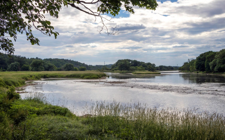 Views Over the Grand River From the rare Charitable Research Reserve in Cambridge :: I've Been Bit! Travel Blog