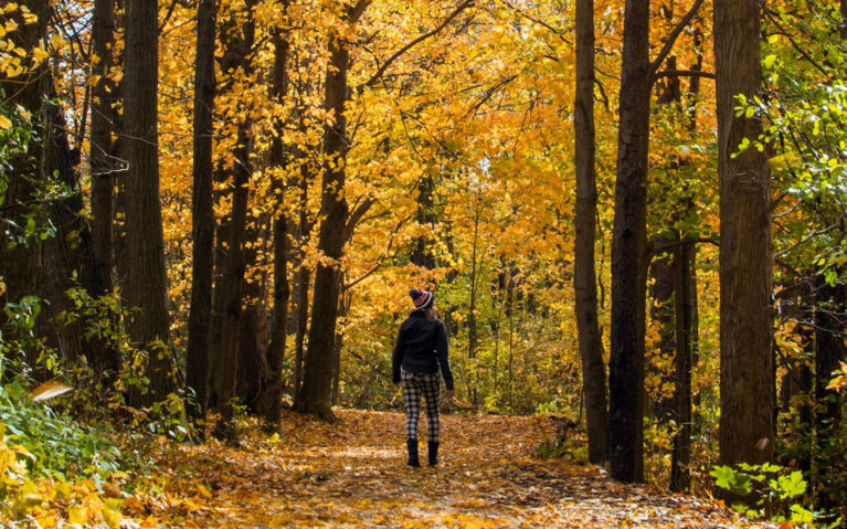 Lindsay Walking Through Waterloo's Bechtel Park in the Autumn :: I've Been Bit! Travel Blog