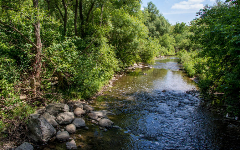 River Through Bechtel Park in Waterloo :: I've Been Bit! Travel Blog