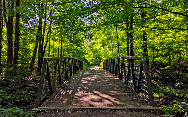 Bridge Along One of the Waterloo Trails :: I've Been Bit! Travel Blog