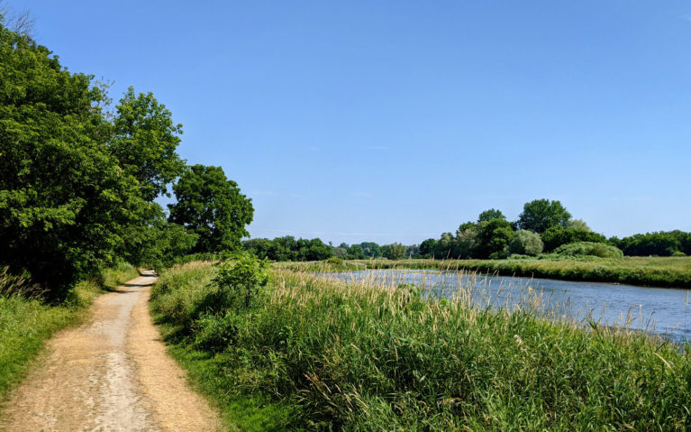 Views of the Grand River Along the Walter Bean Trail in Waterloo :: I've Been Bit! Travel Blog