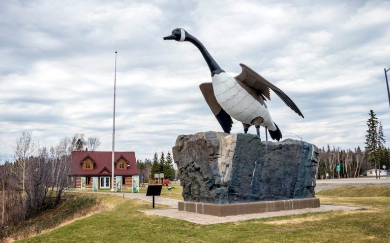 The Famous Wawa Goose :: I've Been Bit! Travel Blog 
