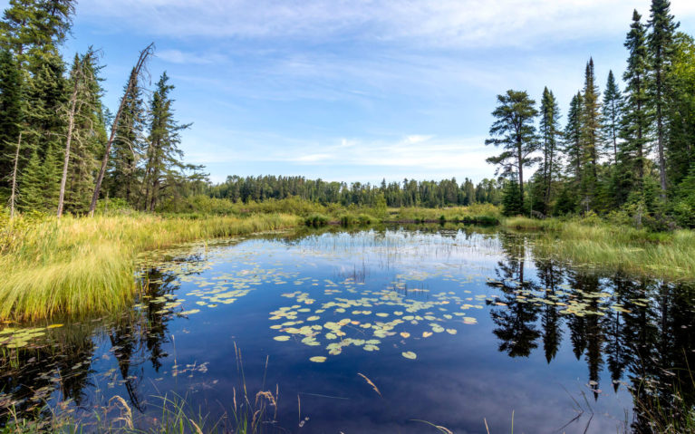 Views from One of the Trails in White Lake Provincial Park :: I've Been Bit! Travel Blog