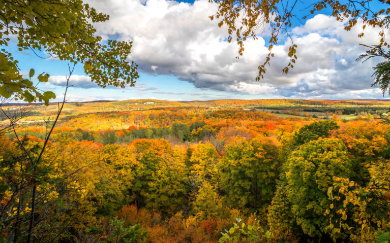 Fall Colours from the Main Bruce Trail in Duncan Escarpment Provincial Park :: I've Been Bit! Travel Blog