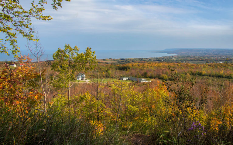 Views from the Irish Mountain Lookout near Meaford in South Georgian Bay :: I've Been Bit! Travel Blog