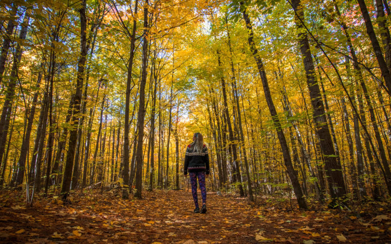 Lindsay Walking Through the Long Sault Conservation Area :: I've Been Bit! Travel Blog