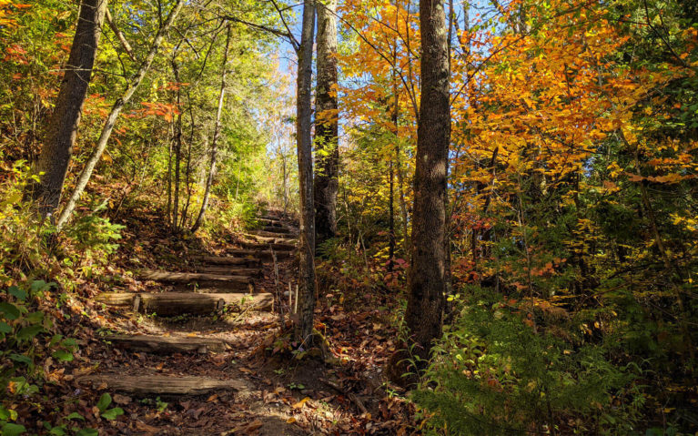 Orono Crown Lands Hiking Trails in the Fall :: I've Been Bit! Travel Blog