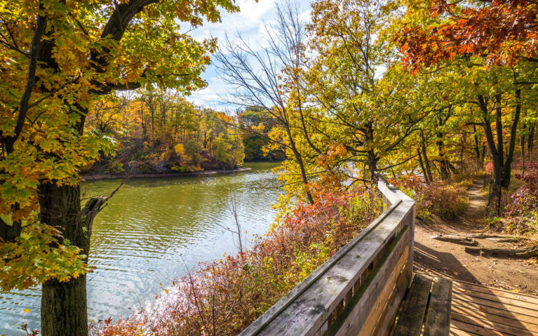 Views from the Sassafras Trail in Cootes Paradise :: I've Been Bit! Travel Blog