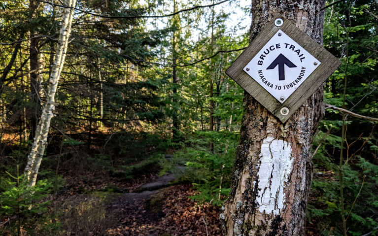 Bruce Trail Signage Along the Trail :: I've Been Bit! Travel Blog