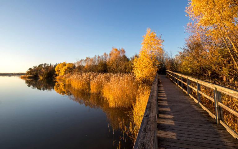 Autumn Golden Hour Views at Mel Swart Lake Gibson Conservation Park :: I've Been Bit! Travel Blog