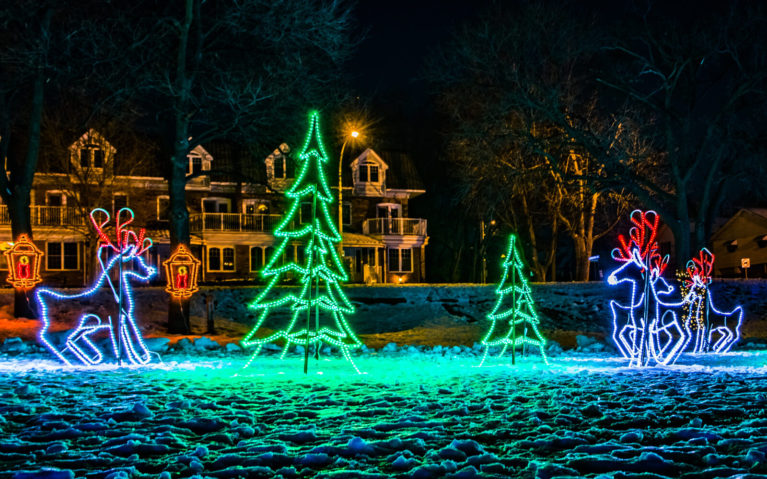 Tree and Reindeer Light Displays at the Lakeside Festival of Lights in Burlington :: I've Been Bit! Travel Blog