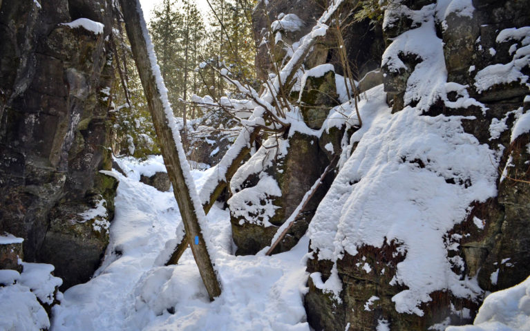 One of the Bruce Trail's Side Trails in Winter :: I've Been Bit! Travel Blog