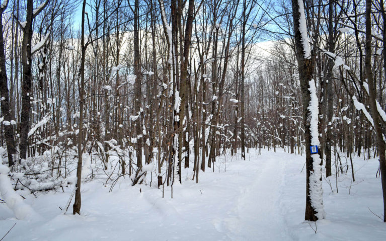 One of the Trails at Scenic Caves Nature Adventures in Winter :: I've Been Bit! Travel Blog