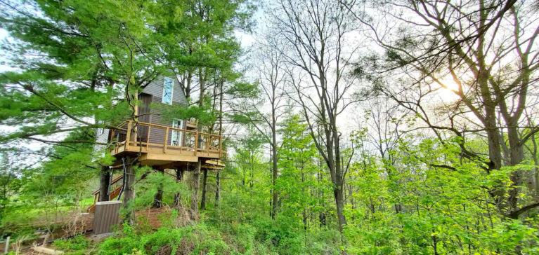 Niagara Region Treehouse from Afar - Image From Facebook :: I've Been Bit! Travel Blog