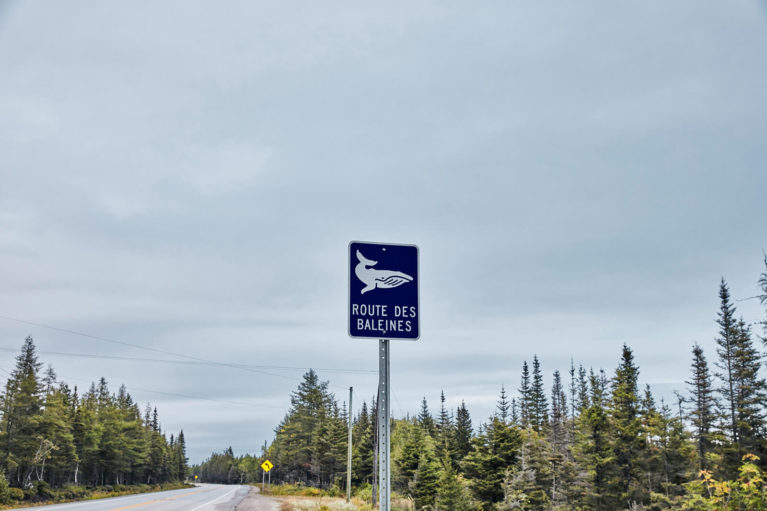 Sign for the Quebec Whale Route Along Route 138 - Photo Credit: TQ/Dominique Lafond