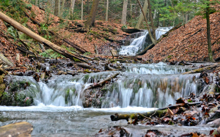 Weavers Creek Falls in Owen Sound's Harrison Park :: I've Been Bit! Travel Blog